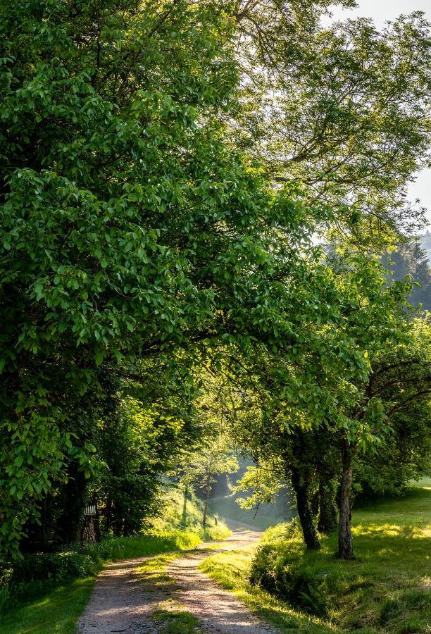 Scheune Anni Gutach Exteriör bild